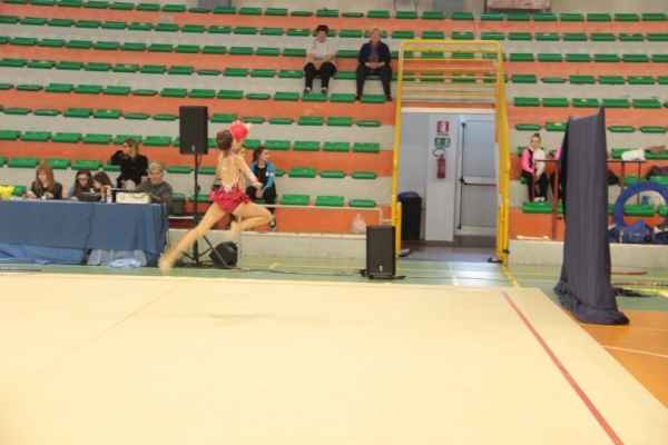 img-96064781CCE2-B804-FD4A-A982-539F670386C4.jpg