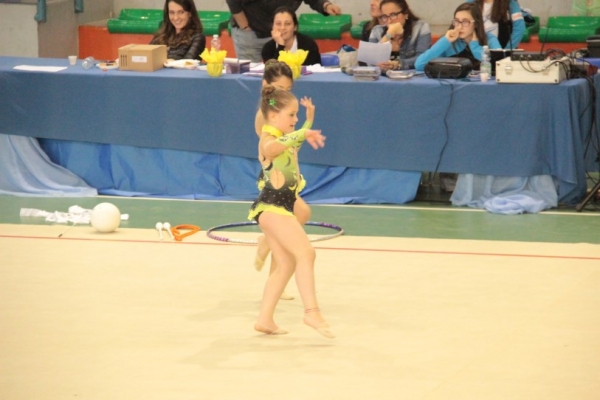 img-96886DAFD0CE-B9EC-C19C-D44E-CBCC6EE00668.jpg