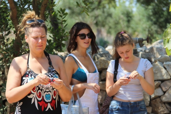 img-092426C0BFC0-4CD8-C043-C059-A89C9DE4C913.jpg