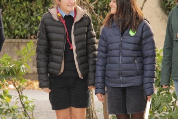 img-12948D6E8F2D-C561-7132-D7EB-E1F5AA6DF298.jpg