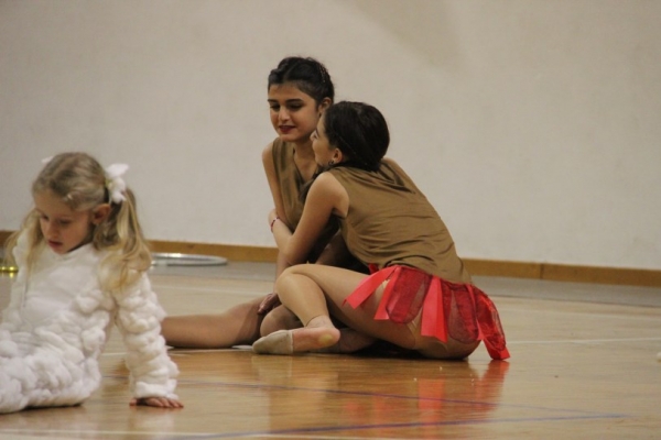 img-19587037A76E-175D-45BD-134E-D215D09B19ED.jpg